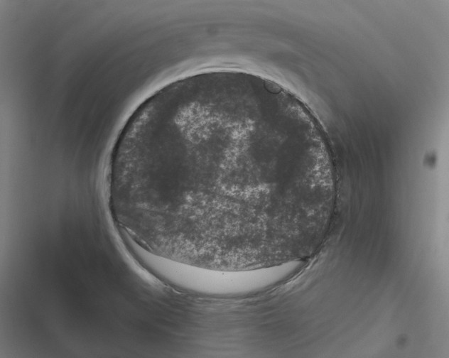 X0000116611519201001081200