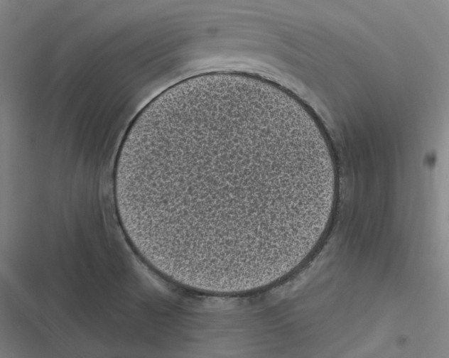 X0000116611521201001081200