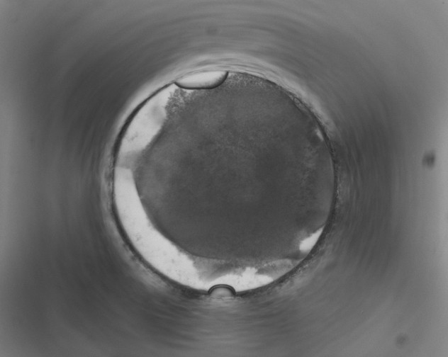 X0000116611522201001081200