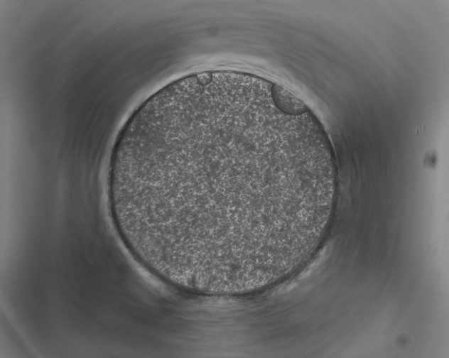 X0000116611525201001081200