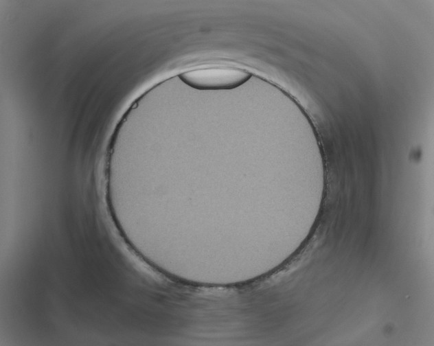 X0000116611526201001081200