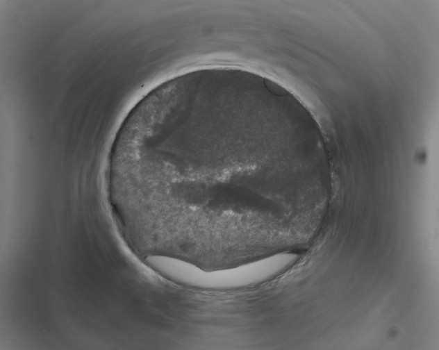 X0000116611527201001081200