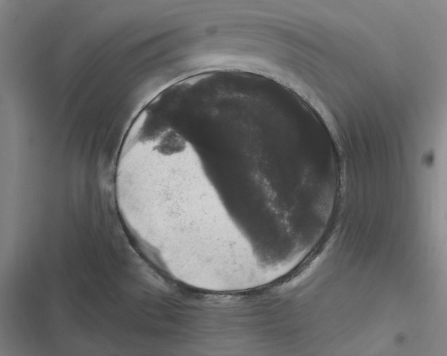 X0000116611529201001081200