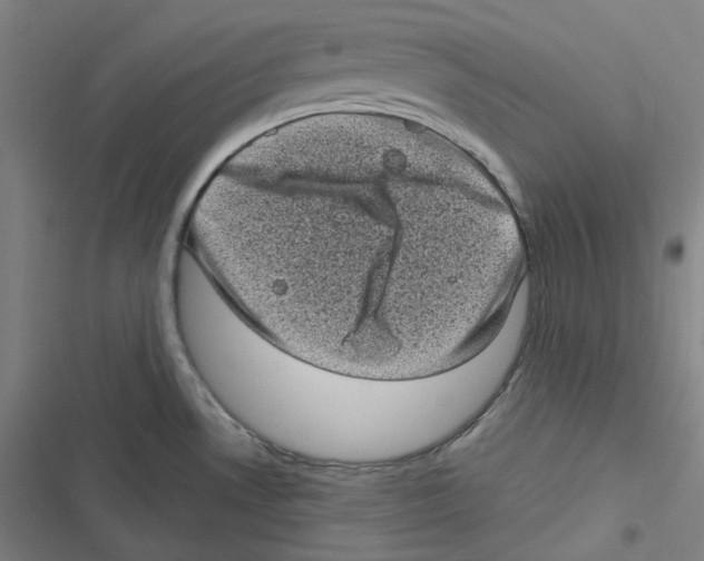 X0000116611530201001081200