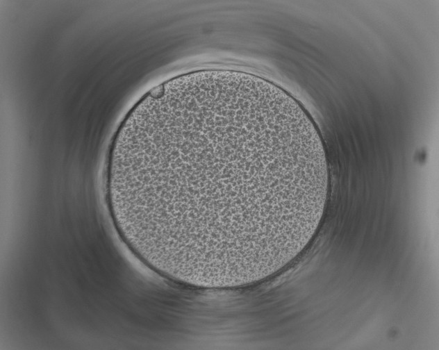 X0000116611531201001081200