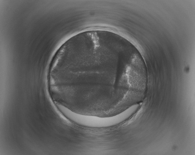 X0000116611533201001081200