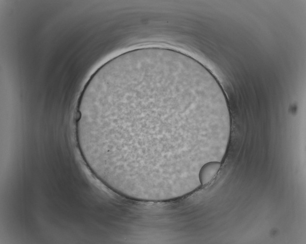 X0000116611534201001081200