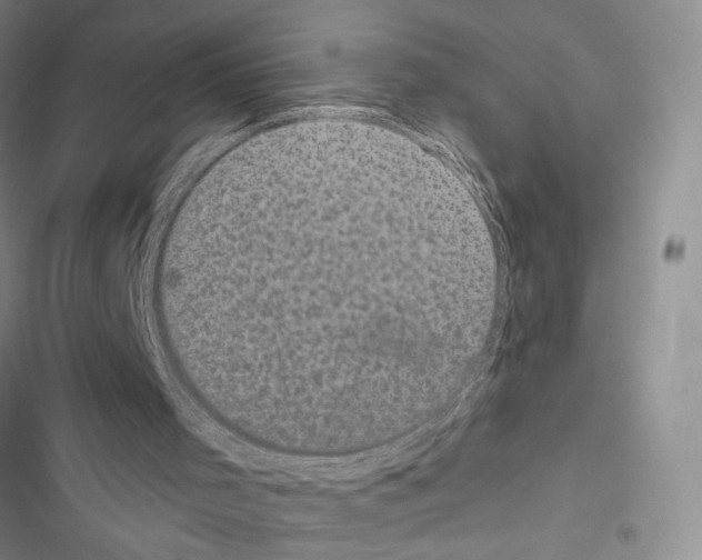 X0000116610001201001221328