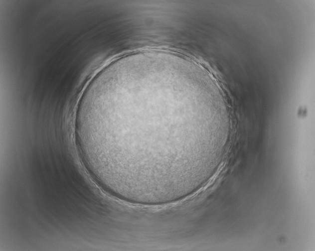 X0000116610002201001221328