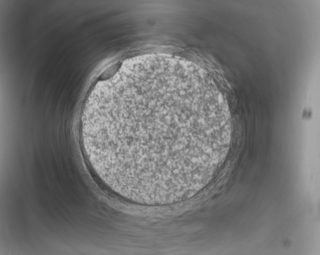 X0000116610003201001221328