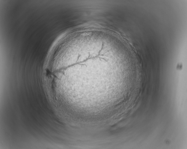 X0000116610004201001221328