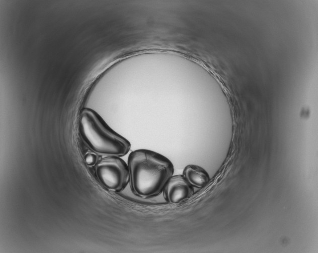 X0000116610005201001221328