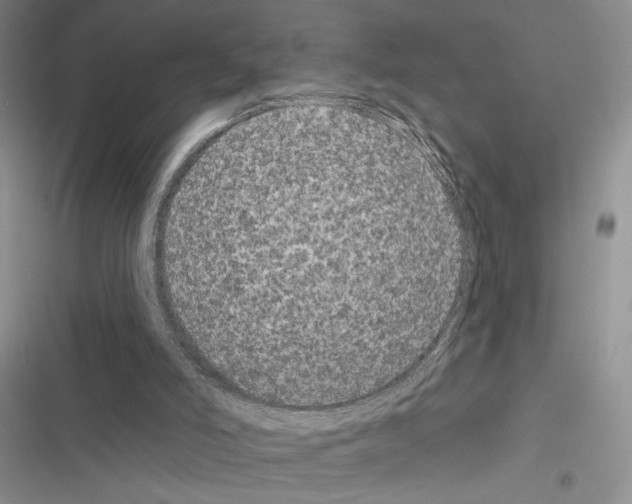 X0000116610006201001221328