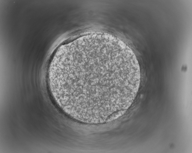 X0000116610007201001221328