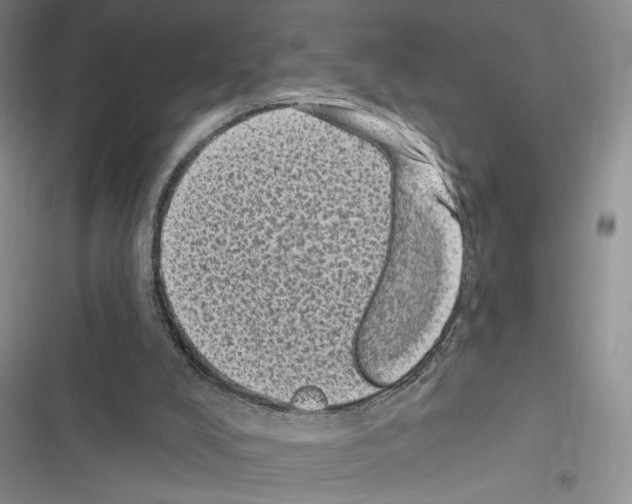 X0000116610008201001221328