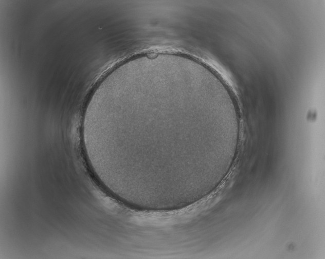 X0000116610009201001221328