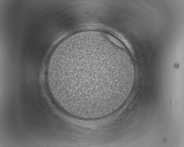 X0000116610010201001221328