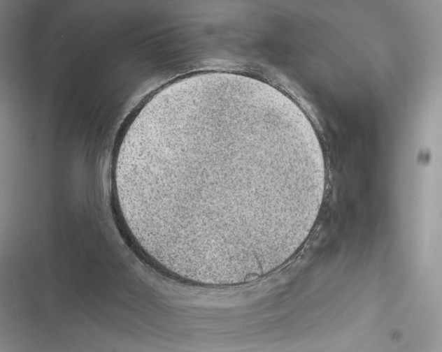 X0000116610011201001221328