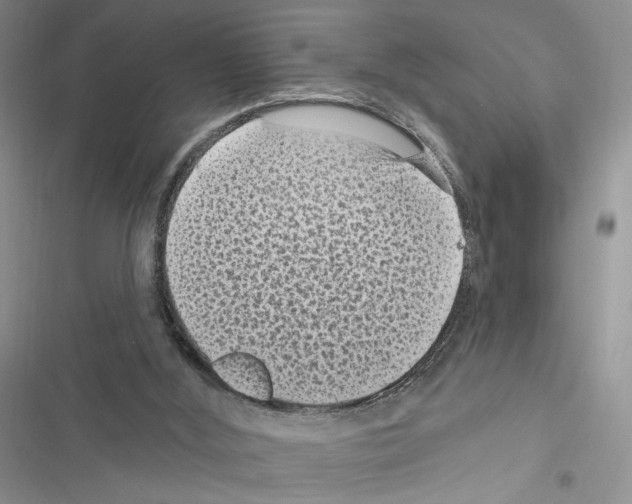 X0000116610012201001221328