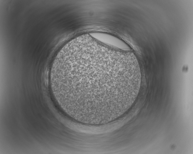 X0000116610014201001221328