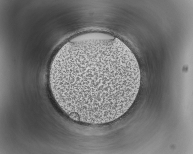 X0000116610016201001221328