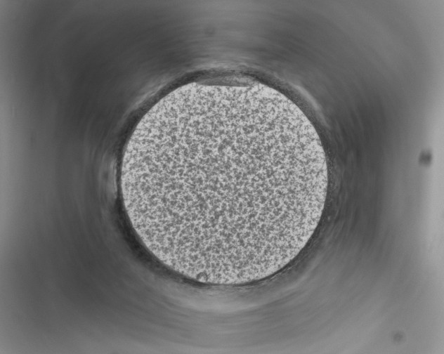 X0000116610020201001221328