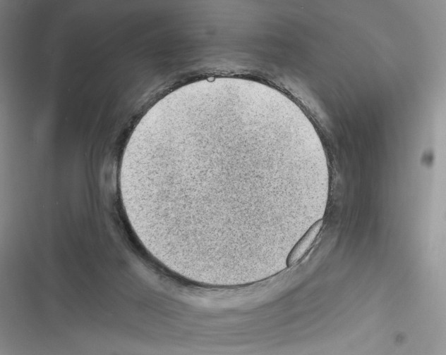 X0000116610021201001221328