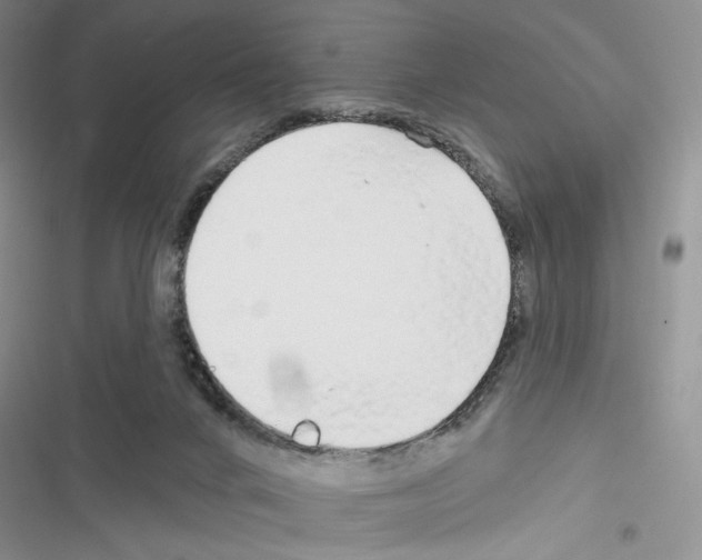 X0000116610024201001221328