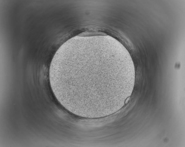 X0000116610025201001221328