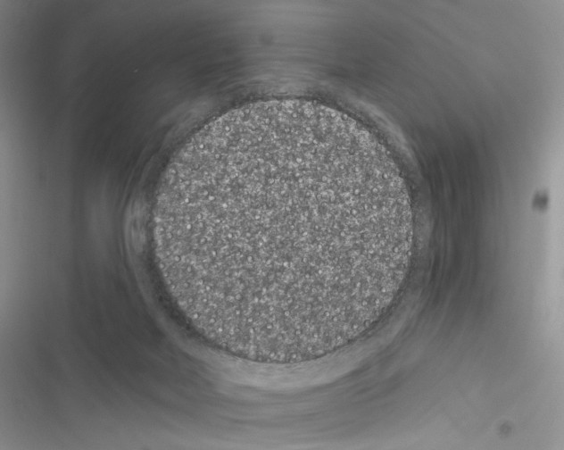 X0000116610026201001221328