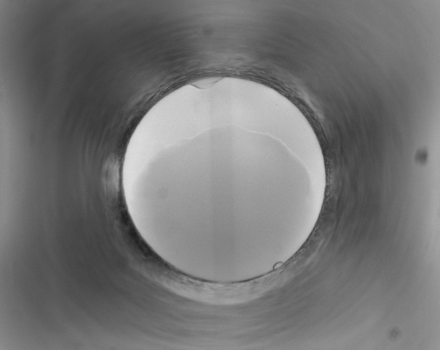 X0000116610027201001221328