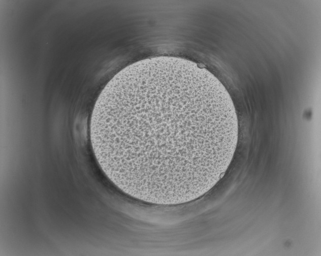 X0000116610028201001221328