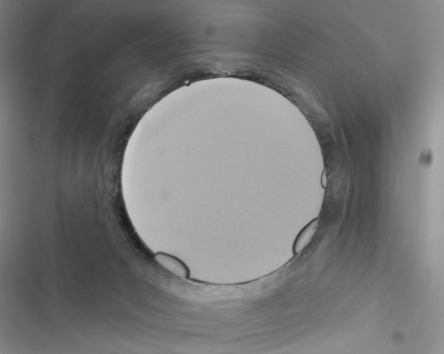 X0000116610031201001221328