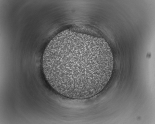 X0000116610032201001221328