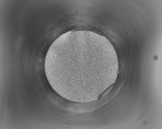 X0000116610033201001221328