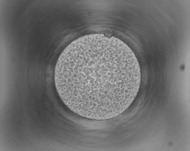 X0000116610036201001221328