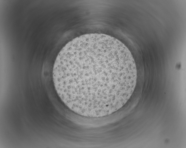 X0000116610038201001221328