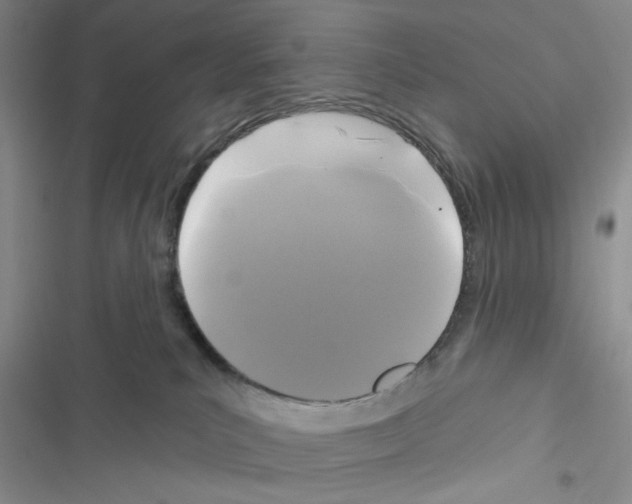 X0000116610039201001221328