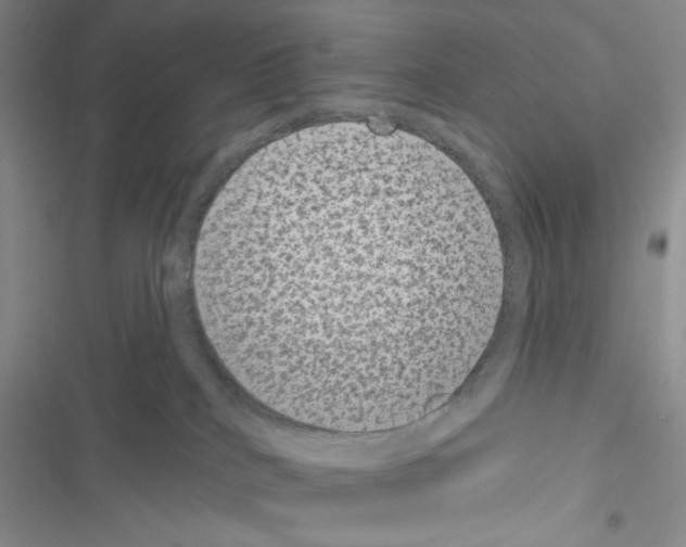 X0000116610040201001221328