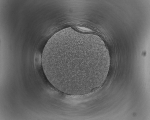 X0000116610041201001221328