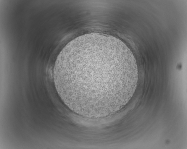 X0000116610042201001221328