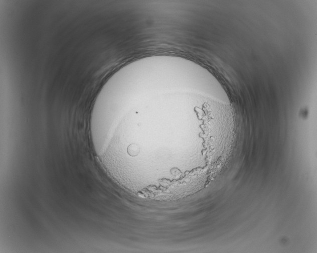 X0000116610043201001221328