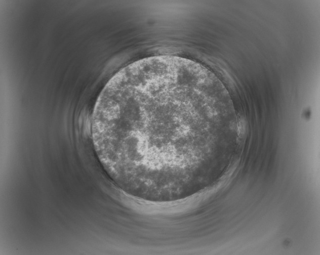 X0000116610046201001221328