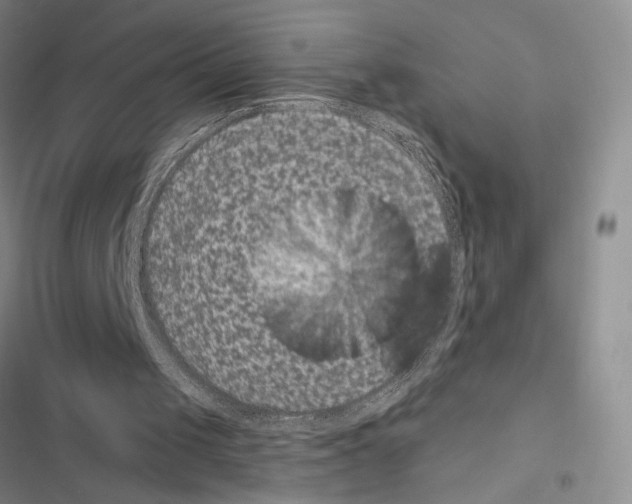 X0000116610049201001221327