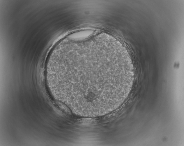 X0000116610050201001221327