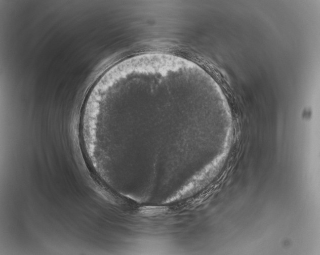 X0000116610051201001221327