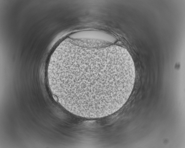 X0000116610054201001221327