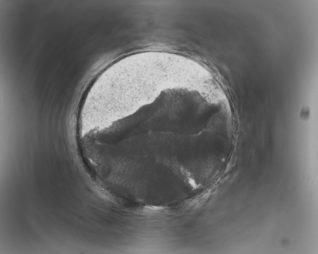 X0000116610055201001221327