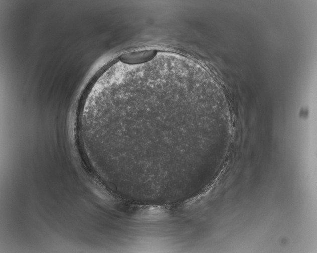 X0000116610056201001221327