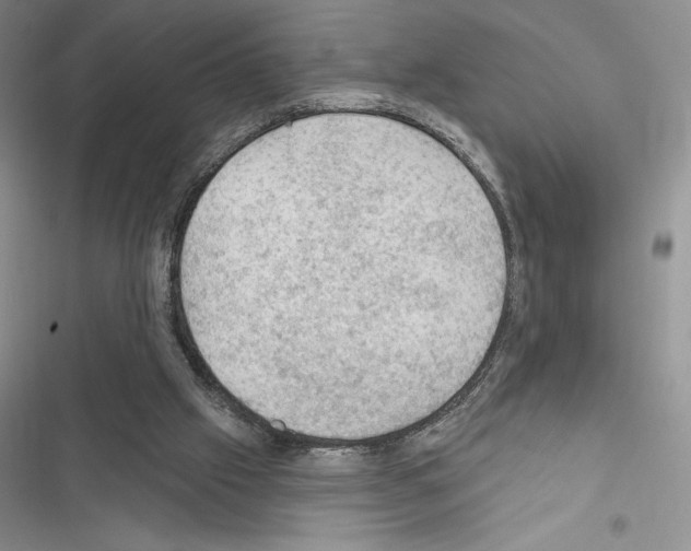 X0000116610057201001221327